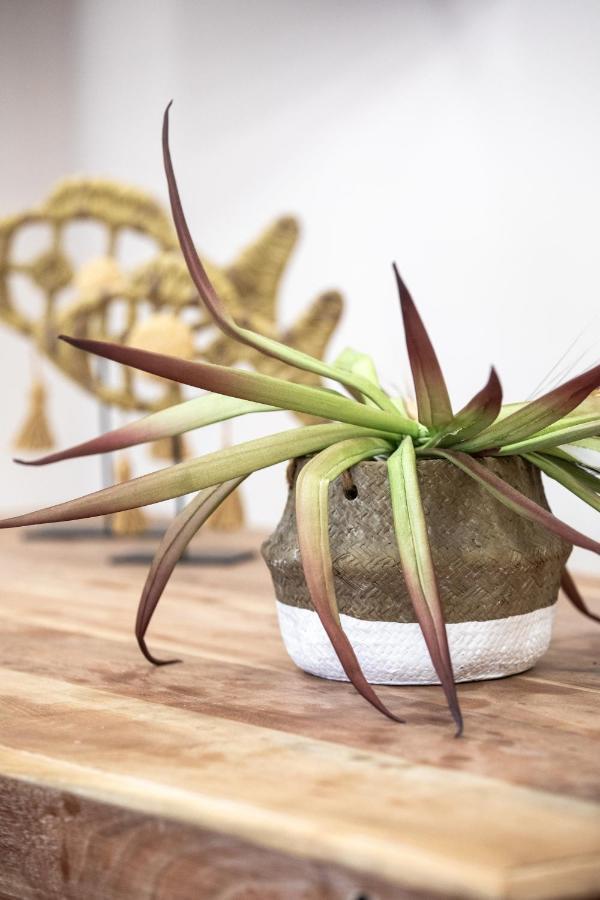 Apartment Garden In Ii *