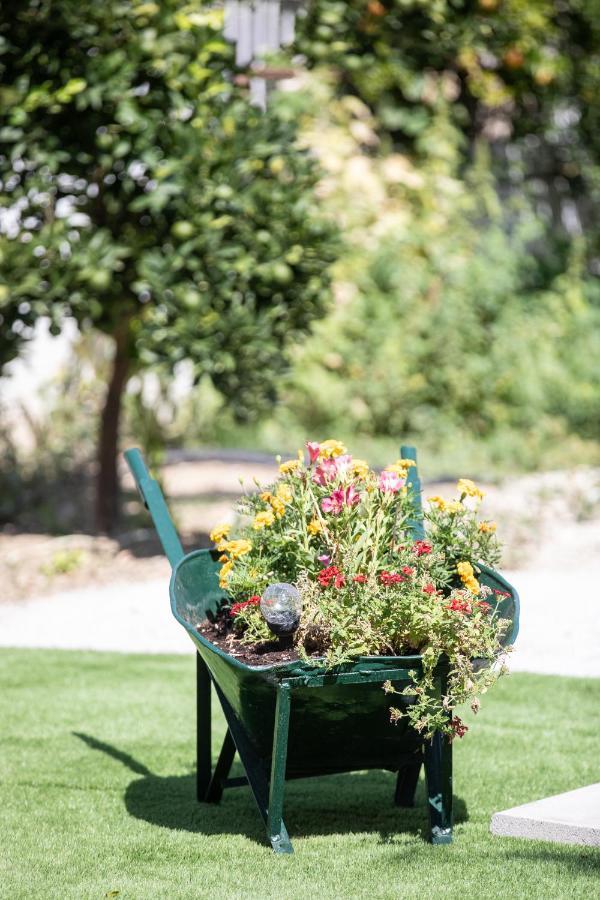 Garden In Ii Apartment Amarynthos