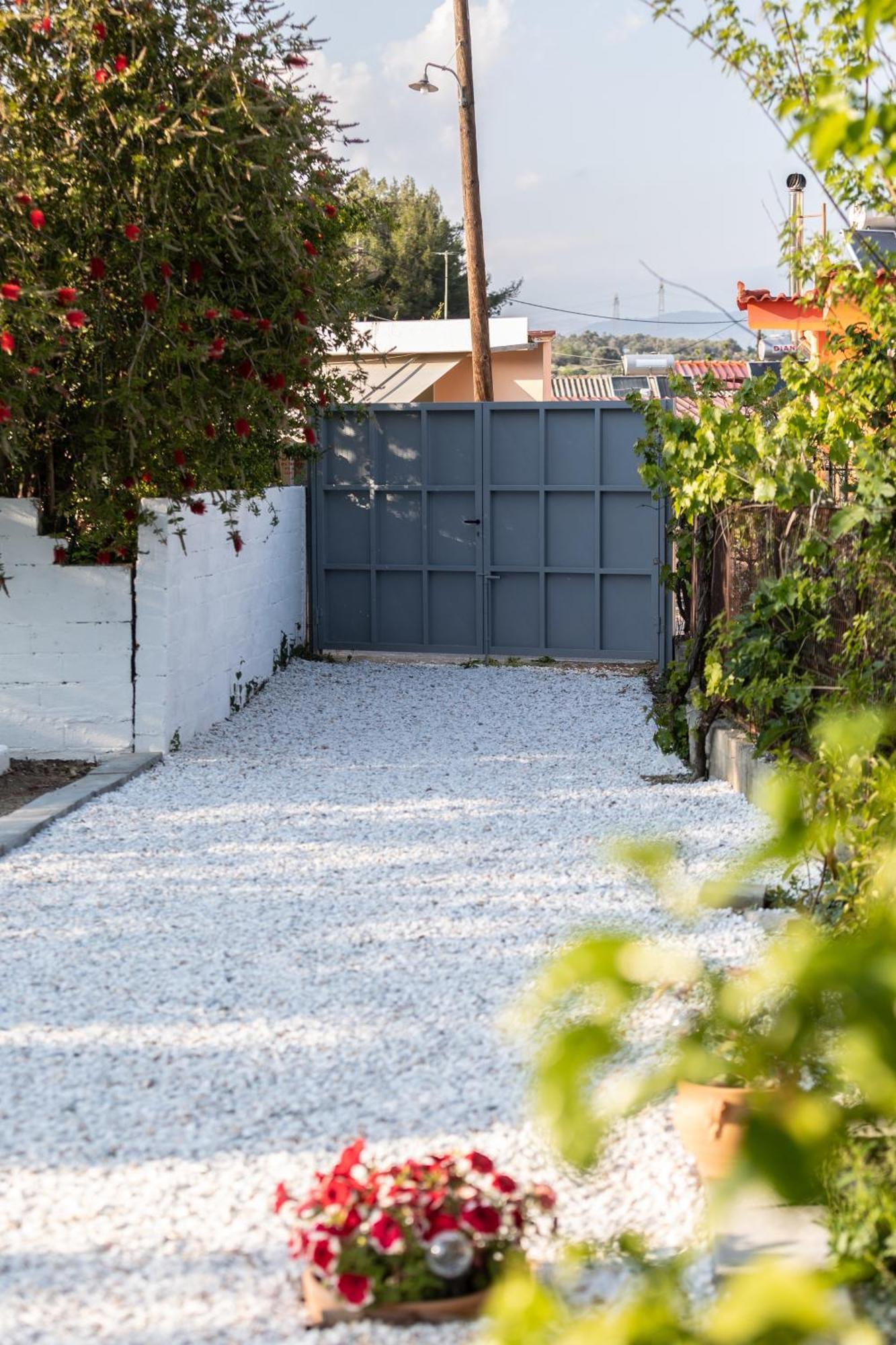 Garden In Ii Amarynthos